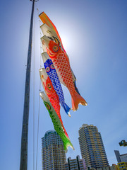 五月晴れ_海浜幕張＿こいのぼり