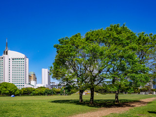 五月晴れ_海浜幕張