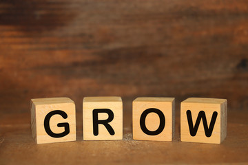 Fototapeta premium the word in wood type