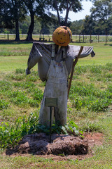 scarecrow in the field