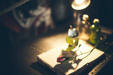 a rose on top of a book with a lit lamp