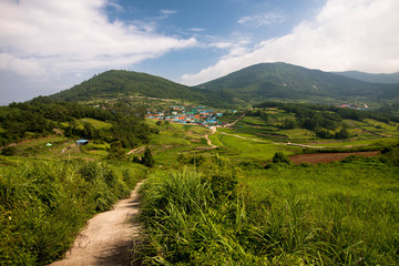 Fototapeta na wymiar the green rice field valley