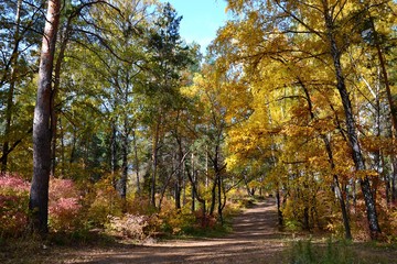 Autumn in all its unique splendor