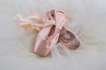 Ballet Pointe Shoe for Ballerina