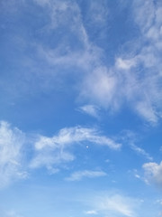 blue sky with white clouds