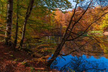 Highland lake in the autumn season