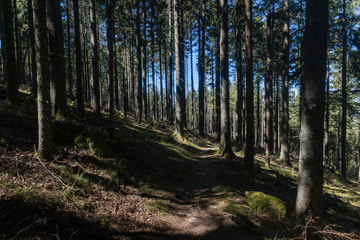 Hiking GR5 through the Vosges