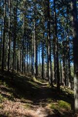 Hiking GR5 through the Vosges