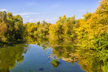 Lake in the autumn forest on a bright sunny day