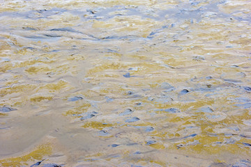 Foot prints on a clay beach