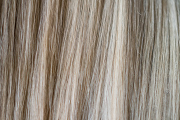 White and Brown Horse Hair Texture