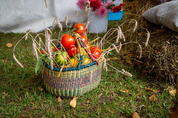 Colorful vegetables in rustic basket
