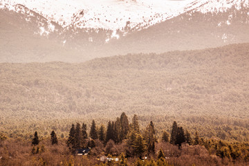 Forest track, mountain routes. Sierra de Guadarrama National Park, Segovia. Spain
