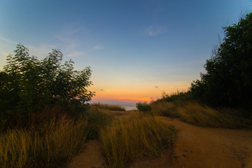 Phuket sea bay morning view with palm tree
