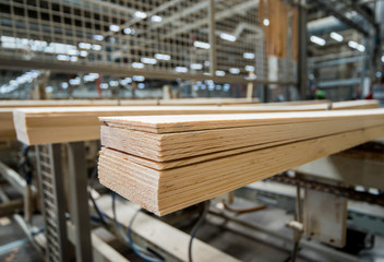 Production line of the wooden floor factory. CNC automatic woodworking machine.