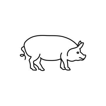 pig silhouette. hog symbol. vector outline. black and white animal. monochrome image. animal logo. simple icon