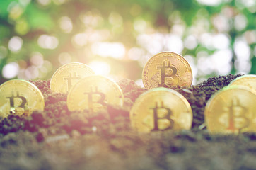 Bitcoin on soil in the public park background.Cryptocurrency business strategy ideas concept.retro vintage color tone.