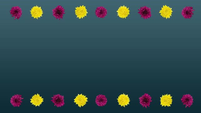 Colorful flowers pattern on background