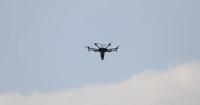 Application of trichogramma by drone for controlling the european corn borer