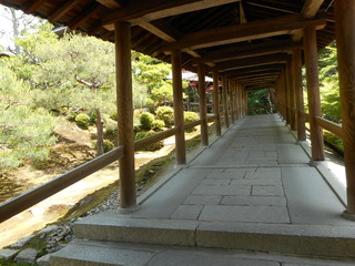 京都の風景