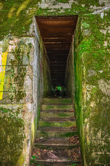 alter zugewucherter Bunker im Wald