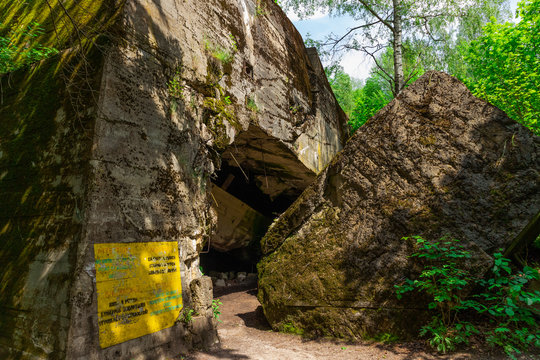 alter zugewucherter Bunker im Wald