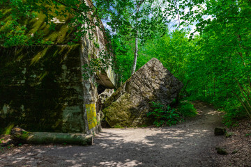 alter zugewucherter Bunker im Wald