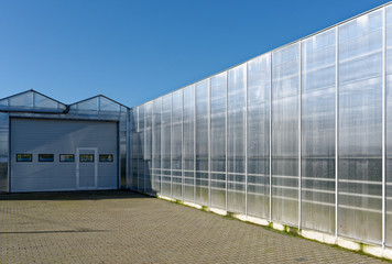 Obraz premium Gewächshaus