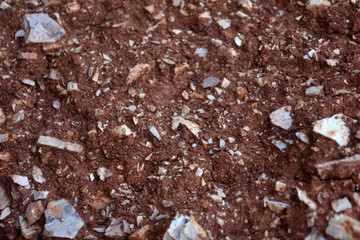 Mixed sandstone soil and rock background. Red Brown Gravel Texture. A rocky ground surface.