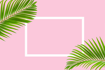 Fototapeta na wymiar Natural palm leaf with white frame on pastel pink background, nature background
