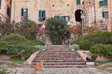 Fototapeta na wymiar Jesi, Ancona, Marche, Italy: small public garden in the old town with cats 