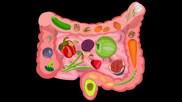 Healthy food for intestinal health. Video on a transparent background