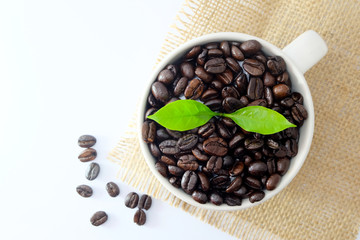 Coffee beans in a white cup with green leaves on white background.