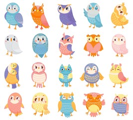Cartoon owl. Cute color owls, forest birds and hand drawn baby owl. Owlet birdie characters, doodle baby owls expression. Isolated vector illustration icons set