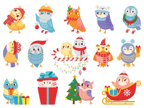 Winter owl. Cute christmas birds, owls in scarf and hat and bird mascot. 2020 Xmas owl birdie character in gift box, in sleigh or decorate tree. Isolated icons vector illustration set