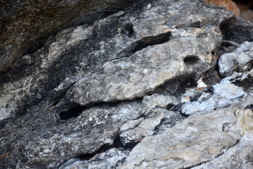 Beautiful texture of the light stone is photographed in close-up. Details of rock nature texture. A rocky ground surface.
