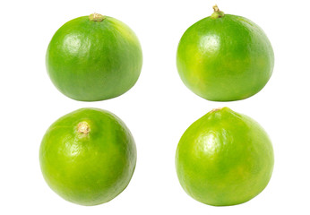 lemon Lime green background green leaves