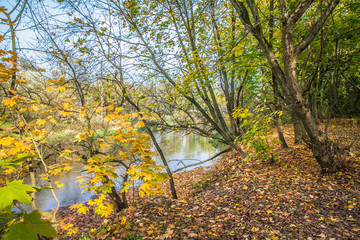 Swider river in Masovia, Poland in autumn