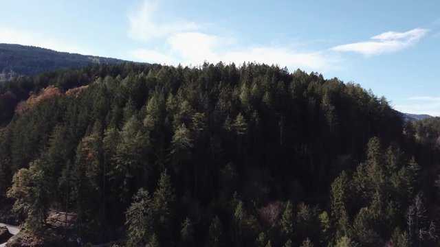 Drone descending over mountain with pine trees in Switzerland
