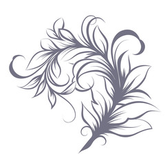 ornament with curls, leaves, pattern on a white background