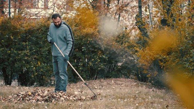 garden worker raking dry leaves in the garden with a rake in cold weather