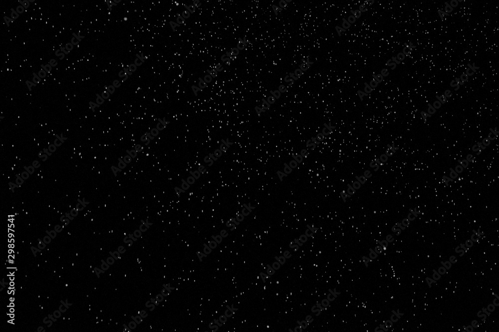 Wall mural beautiful snowfall isolated on the black background. seamless loop animation. use the composite mode