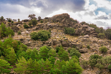 rock formation in Sierra Nevada surrounded by pine trees