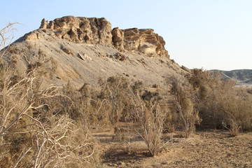 Désert égyptien