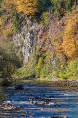 Obraz premium A small mountain river with bright blue water flows along steep cliffs. The rocky bottom of the river. Colorful foliage. Autumn landscape.
