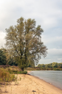 On the banks of the Dutch river Boven Merwede © Ruud Morijn
