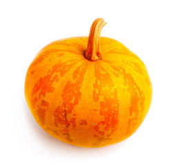 Pumpkin on isolated white background. Fresh, orange