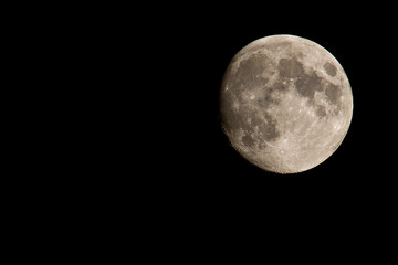 Fototapeta premium The Moon