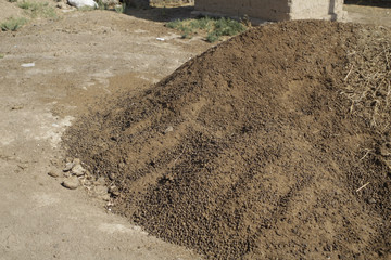 A pile of lamb manure - coils for making coal
