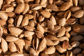 Almonds background. Almonds texture. 
